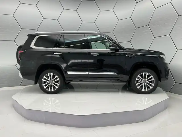 Baic BJ60 view 6