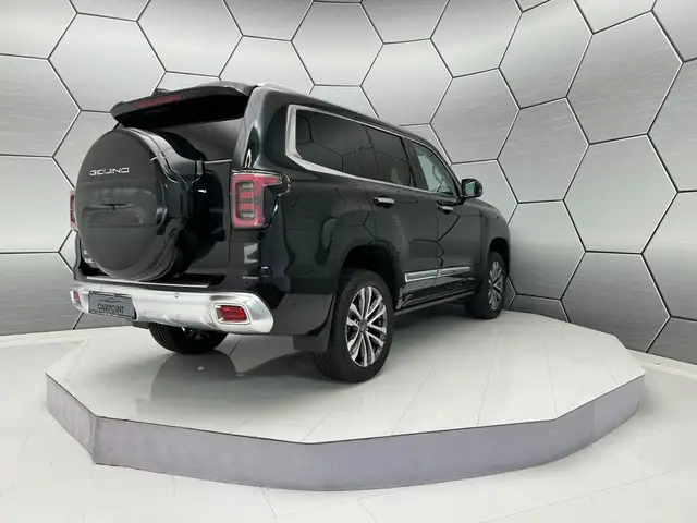 Baic BJ60 view 5
