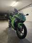 Kawasaki Ninja 300 abs Verde - thumbnail 14