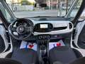 Fiat 500L 1.6 MTJ 120CV N1 AUTOCARRO IVA NAVI KAMERA Bianco - thumbnail 13