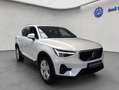 Volvo XC40 XC40 B3 B DKG Core Bianco - thumbnail 8