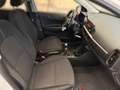 Kia Picanto Picanto 1,0 MPI LENKRDHZG+SHZ+MEGAPREIS Weiß - thumbnail 25