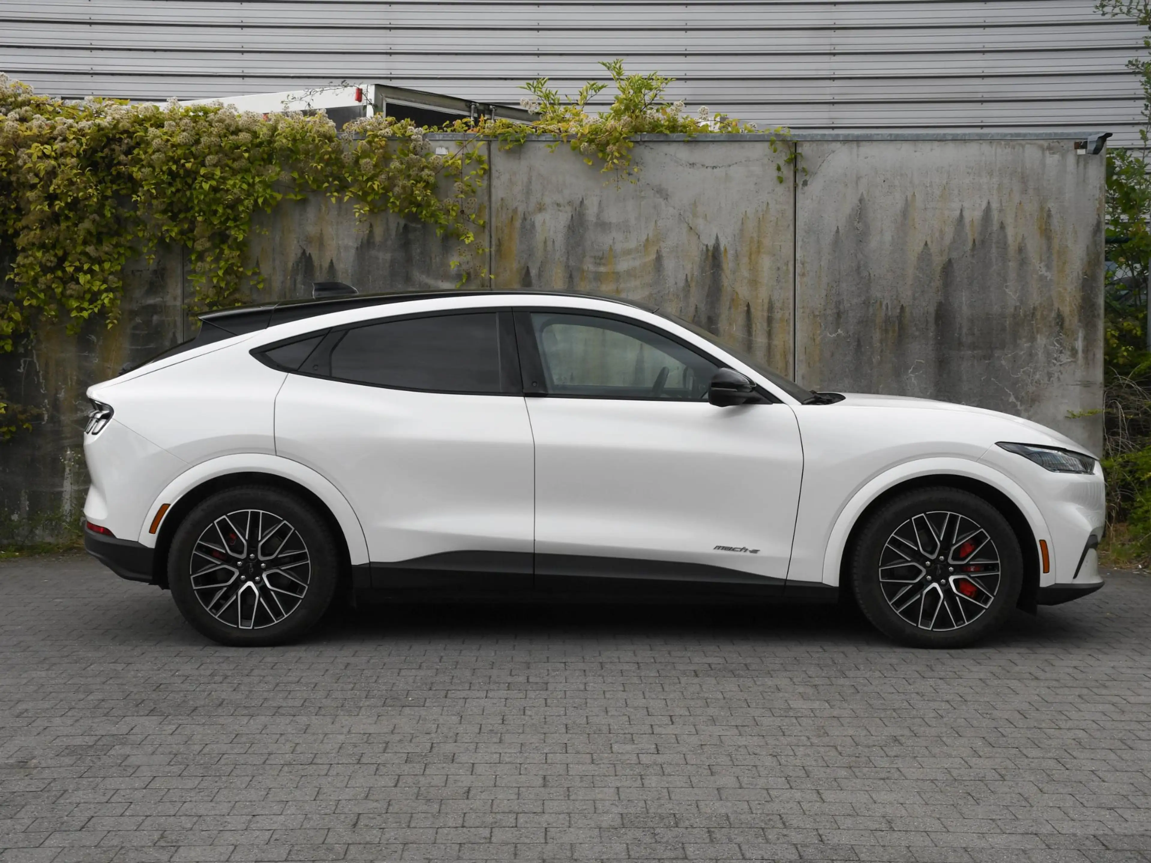 Ford Mustang Mach-E Premium Extended Range RWD 88kWh 276pk Automaat PA — photo 3