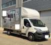 Citroen Jumper Chasis Cb. 2.0BlueHDi 35 L4 Heavy 160 Blanco - thumbnail 6