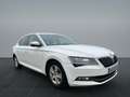 Skoda Superb Limo *LED*BI-XENON*Navi* Weiß - thumbnail 2