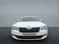 Skoda Superb Limo *LED*BI-XENON*Navi* Weiß - thumbnail 9