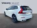 Volvo XC60 T6 Hybride Rechargeable 350ch Plus Style Dark Gear Blanc - thumbnail 3