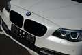 BMW 518 D Touring / SPORTPACK / ONLY B2B OR OUT BE / XENON Weiß - thumbnail 17