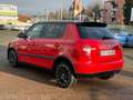 Skoda Fabia Fabia 1.6 TDI 90 CR Monte Carlo Rouge - thumbnail 9