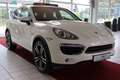 Porsche Cayenne S Hybrid Panorama LEDER*Scheckheft Weiß - thumbnail 8