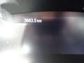 Ford Focus Titanium LED Navi Syn 4 AHK Kamera ACC Negro - thumbnail 14
