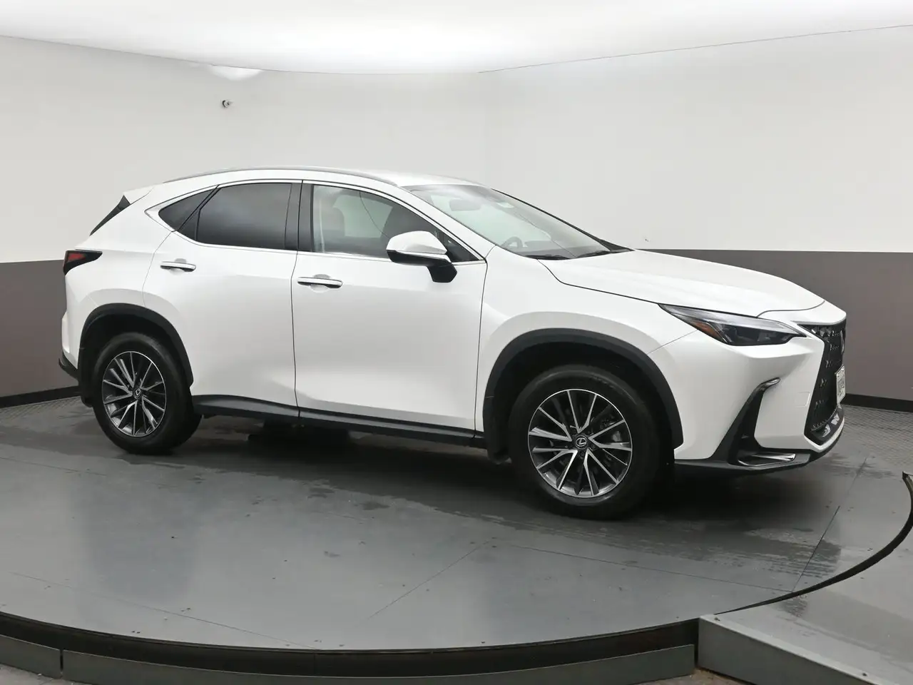 2025 Lexus NX