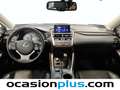 Lexus NX 300 300h Executive 4WD Tecno + Navibox Blanco - thumbnail 7