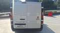 Fiat Talento 1.6 Ecojet PC-TN Furgone 10q N°GC579 Blanc - thumbnail 13