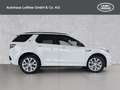 Land Rover Discovery Sport Benzin Plug-In-Hybrid P270e S A Weiß - thumbnail 6