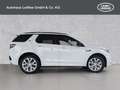 Land Rover Discovery Sport Benzin/Plug-In-Hybrid P270e S *AHK*Winterp* Weiß - thumbnail 6