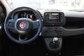 Fiat Panda 1.0 Hybrid 70CV Rot - thumbnail 11