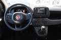 Fiat Panda 1.0 Hybrid 70CV Rot - thumbnail 15