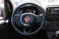 Fiat Panda 1.0 Hybrid 70CV Rot - thumbnail 9