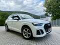 Audi Q5 35 TDI S-Line Virtual-Kamera-ACC Weiß - thumbnail 1