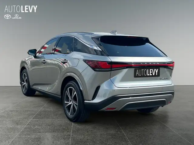Lexus RX view 4