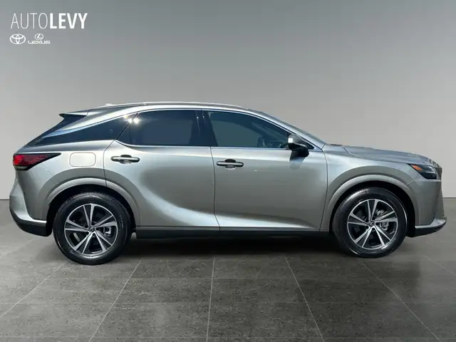 Lexus RX view 7