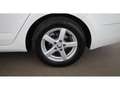 Skoda Octavia Combi 1.6 TDI Ambition Aut AHK RADAR NAVI Weiß - thumbnail 27