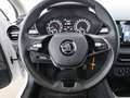 Skoda Fabia 1.0 MPI Ambition LED TEMPOMAT ASSIST PDC Weiß - thumbnail 19