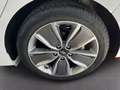 Hyundai IONIQ 1.6 GDI HEV Klass Nav DCT Blanco - thumbnail 11