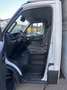 Iveco Daily 35C16H3.0 EIV Centina Fissa 5260x2240x2350 kg 720 Blanc - thumbnail 8