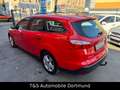 Ford Focus Turnier Ambiente/Zahnriemn&Tüv&Service Neu Rot - thumbnail 6