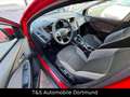 Ford Focus Turnier Ambiente/Zahnriemn&Tüv&Service Neu Rot - thumbnail 12