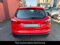 Ford Focus Turnier Ambiente/Zahnriemn&Tüv&Service Neu Rot - thumbnail 7