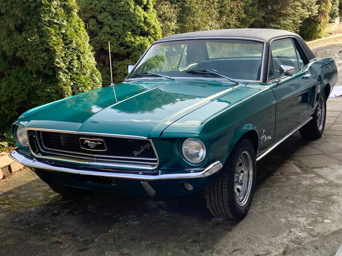 Ford Mustang Ford Mustang | 1968 | Coupe | V8 302 Cui Motor neu Grün - 2
