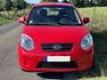 Kia Picanto Picanto 1.1 Spirit Rot - thumbnail 1