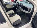 Fiat Panda Panda 0.9 TwinAir Turbo Natural Power Easy Beige - thumbnail 8
