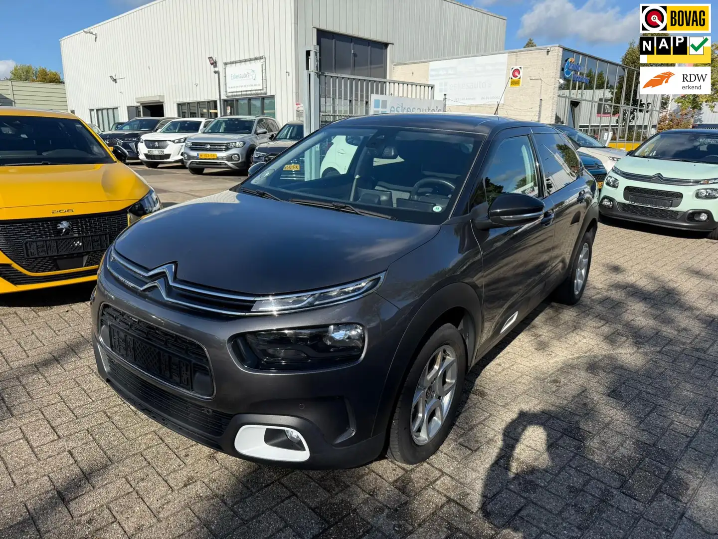 Citroen C4 Cactus 1.2 PureTech Feel, Panodak, Navi, 12 mnd Garantie Grijs - 1
