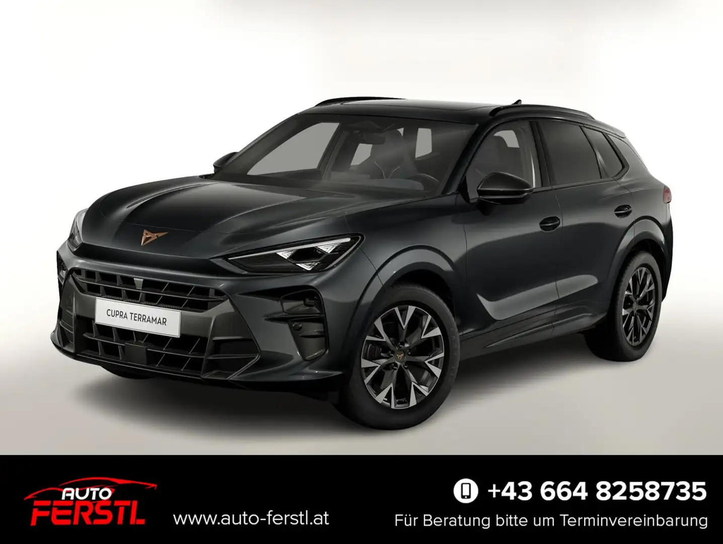 CUPRA Terramar 1.5 eTSI 150 DSG Pano EdgeP LED VirCo 110 kW (1... Grau - 1