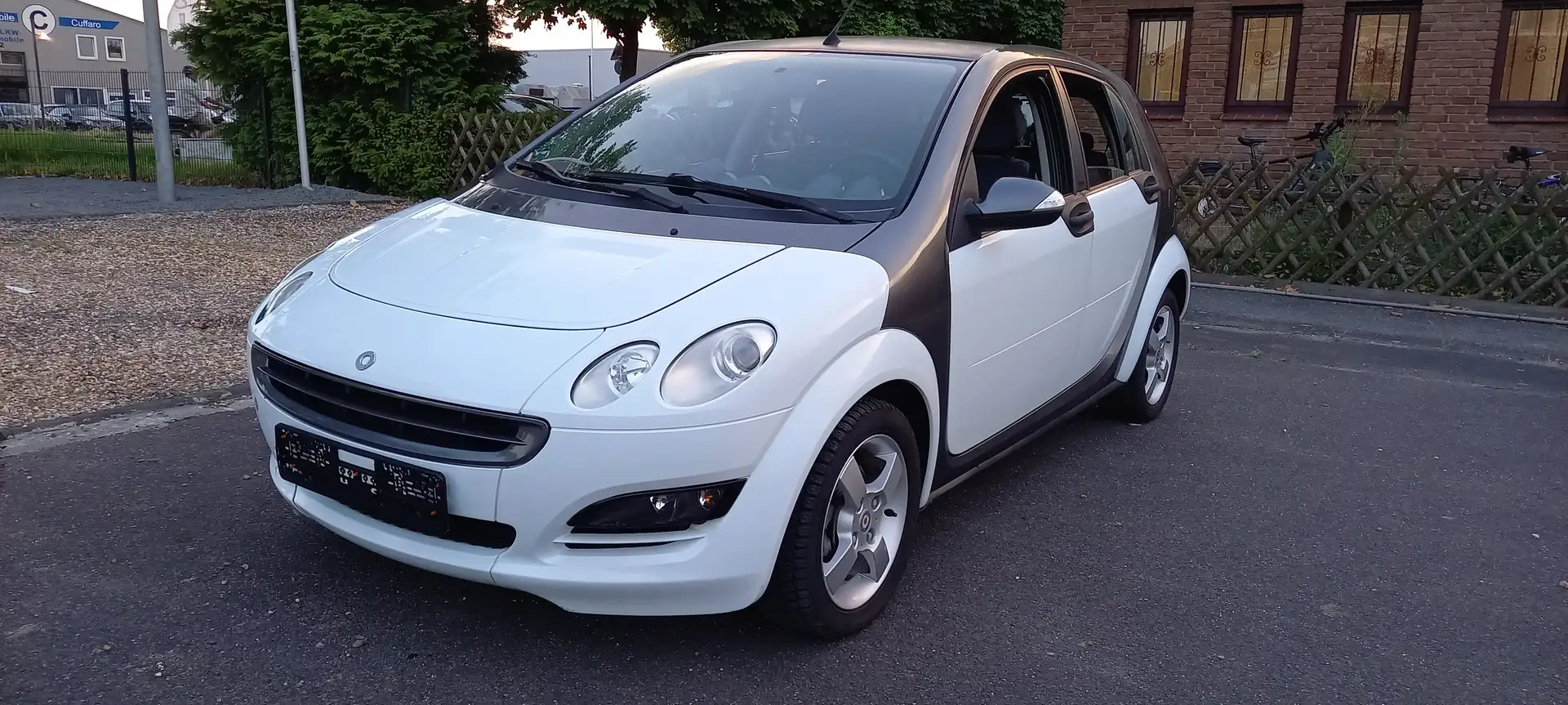 smart forFour TÜV NEU Blanc - 1