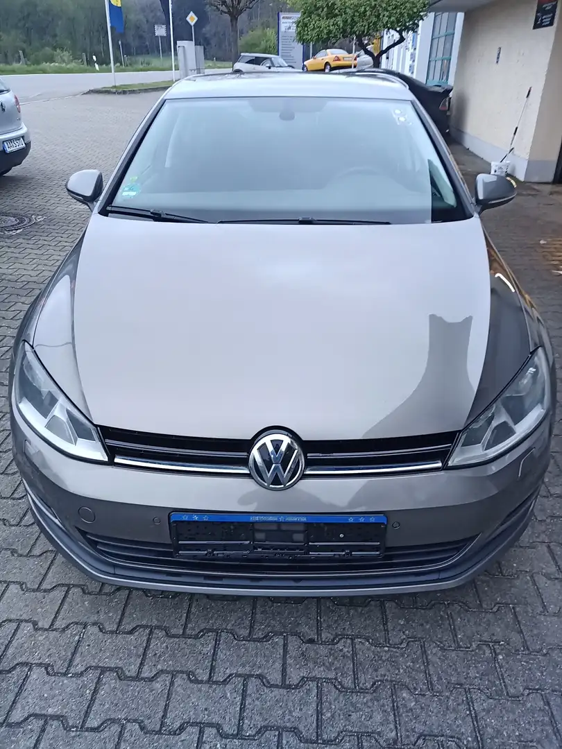 Volkswagen Golf Cup BMT Grau - 2