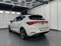 SEAT Leon FR *R-KAM*PANORAMA* Weiß - thumbnail 2