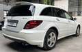 Mercedes-Benz R 500 R500/550 4MATIC / 7 Sitzer / AMG Styling Paket Weiß - thumbnail 7