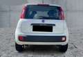 Fiat Panda 0.9 TwinAir Turbo S&S Lounge Bianco - thumbnail 10