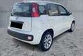 Fiat Panda 0.9 TwinAir Turbo S&S Lounge Bianco - thumbnail 9