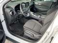 Hyundai KONA Trend Elektro 2WD Scheinwerferreg. ACC Apple CarPl Weiß - thumbnail 4