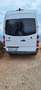Mercedes-Benz Sprinter Chasis+Cabina+213CDI+Medio Blanco - thumbnail 3