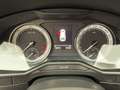 Skoda Superb Combi Sportline 4x4, DSG,Xenon!!! Grijs - thumbnail 29