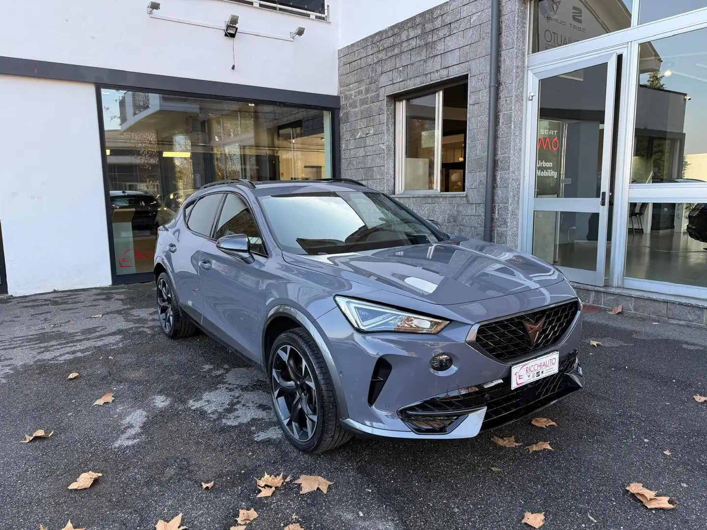 CUPRA Formentor Formentor 1.5 tsi 150cv dsg Gris - 1