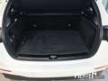 Mercedes-Benz B 180 +PROGRESSIVE+LED+R-KAMERA+WINTER-P+DAB+SHZ Weiß - thumbnail 14
