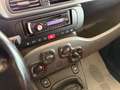 Fiat Panda 1.3 M.JET 75 cv. POP (Auto da ripristinare) Bianco - thumbnail 10